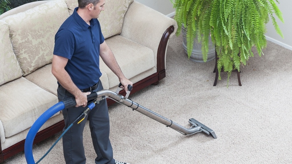 Revealing the Mystery: How Often You Should Clean Your Carpet in North Shore?